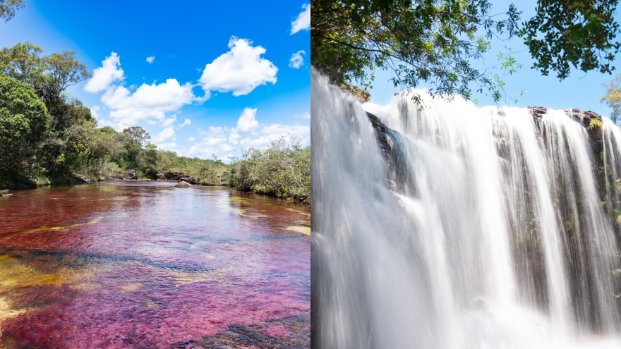 Caño Cristales, en La Macarena. Caño Cristales, en La Macarena.