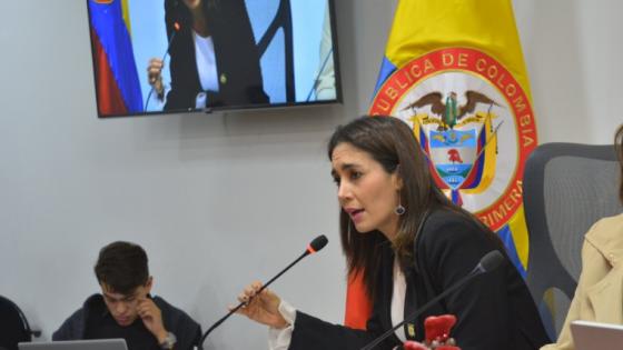 Erika-Sánchez
