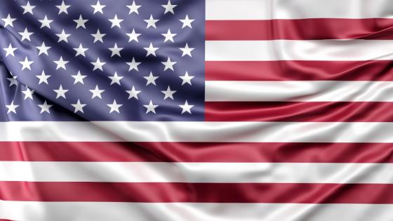 Bandera de Estados Unidos.