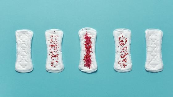 Ciclo menstrual