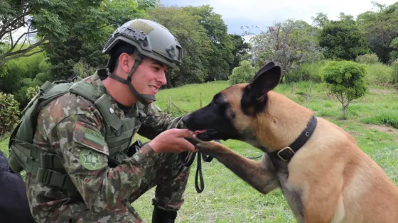  Ely - Ejército-Quindío