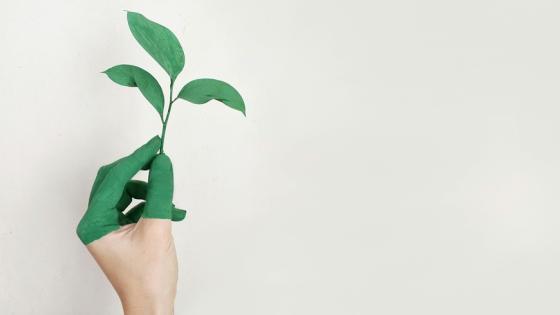 Premios medio ambiente