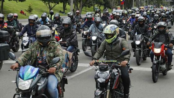 curso moltos