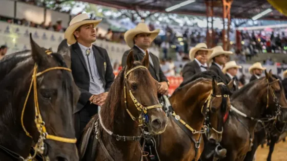 Mundial-Equina-Cali