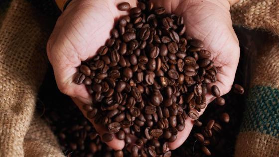 El café colombiano cerró el ciclo 2024/25 con 14,87 millones de sacos.