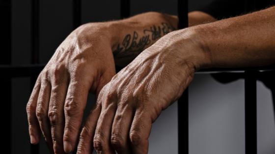 Imagen de referencia de captura.