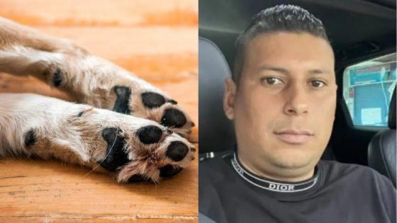 Hombre que agredió a perro