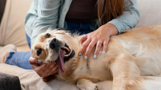 Mujer acariciando perrito.