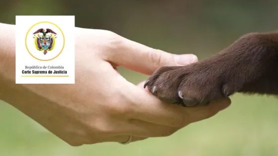 Corte avala permiso remunerado por muerte de mascota