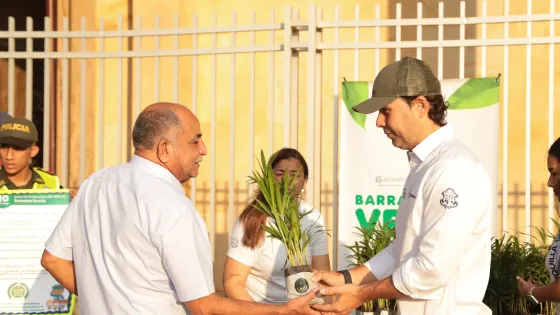 plántulas-Barranquilla-Domingo-Ramos