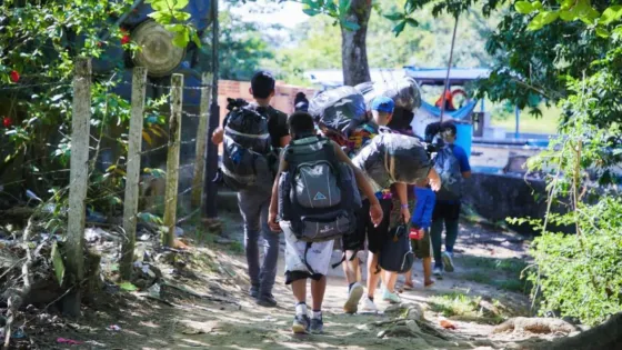 34 líderes asesinados: ¿por qué Antioquia vuelve al centro?