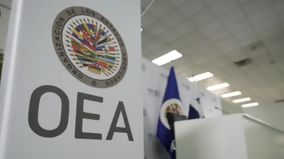 OEA dice que segunda vuelta avanza sin alteraciones de orden público