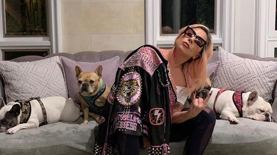 Lady Gaga Lady Gaga