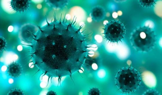 coronavirus