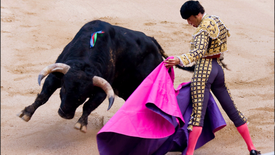 Corridas de toros