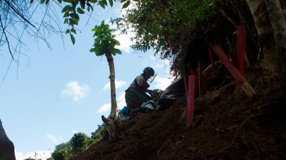 minas antipersonal en antioquia