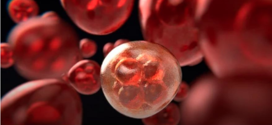 Cómo los científicos derribaron a la ‘Estrella de la Muerte’ del cáncer