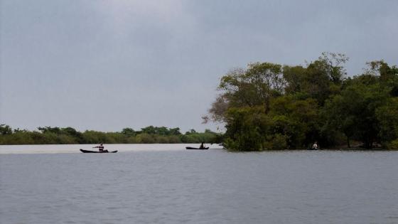 Río Orinoco Río Orinoco