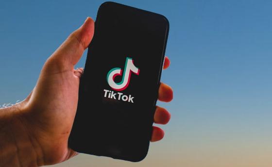 alt tiktok