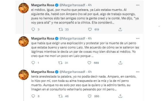 Hilo Margarita Rosa Hilo Margarita Rosa