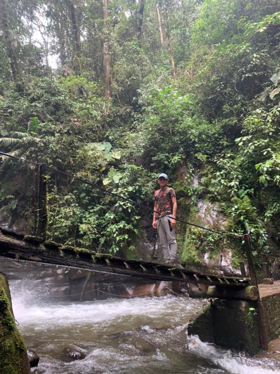 ¿De quién es el Encanto de Salento? ¿De quién es el Encanto de Salento?