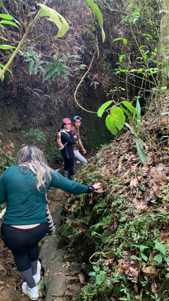 ¿De quién es el Encanto de Salento? ¿De quién es el Encanto de Salento?