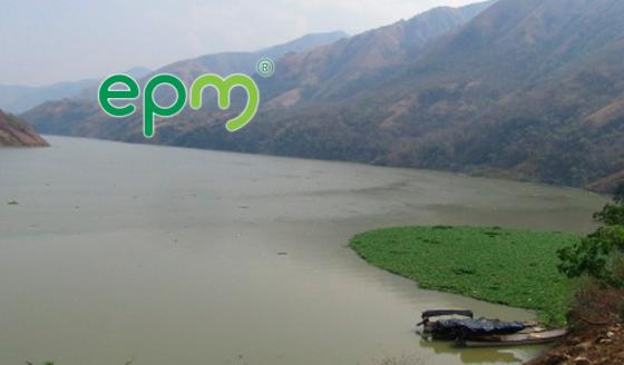EPM peces 