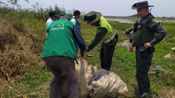 operativo-contra-tráfico-de-fauna operativo-contra-tráfico-de-fauna