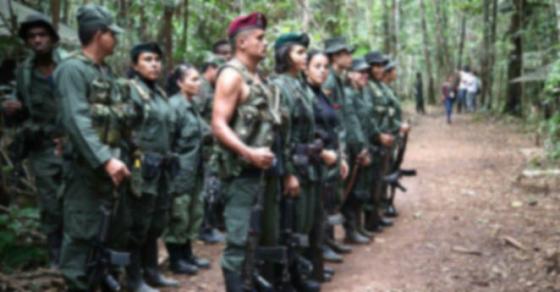 Disidentes de las Farc Disidentes de las Farc