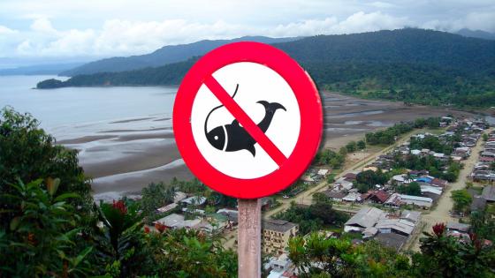 pesca deportiva Bahía Solano noticias Colombia Corte Constitucional pesca deportiva Bahía Solano noticias Colombia Corte Constitucional