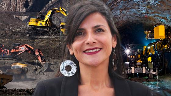 Irene Vélez decrecimiento 