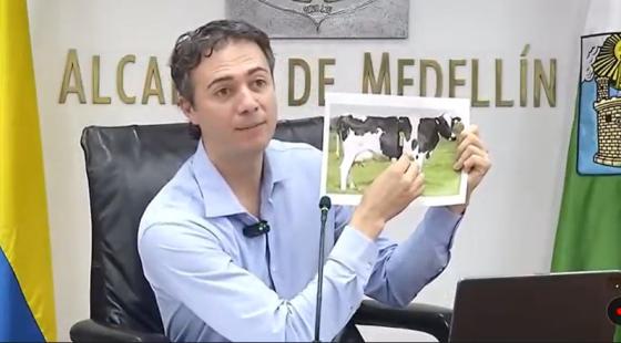 vaca tigo Une Danie Quintero noticias Medellín vaca tigo Une Danie Quintero noticias Medellín