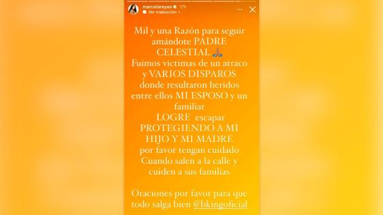 Asalto Marcela Reyes Asalto Marcela Reyes