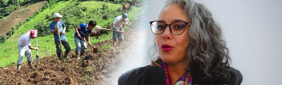 Reforma rural integral Reforma rural integral
