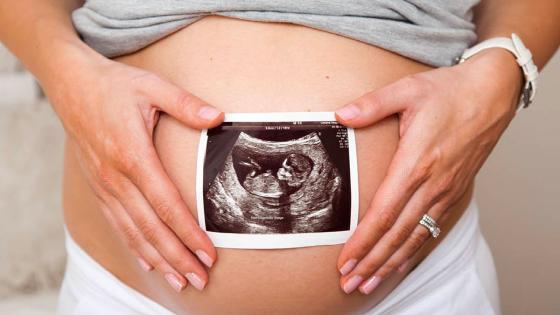 bancada provida aborto Bogotá bancada provida aborto Bogotá