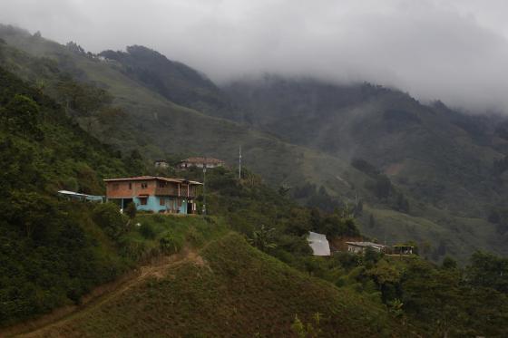 La historia de una finca es muestra de resiliencia en Colombia. 