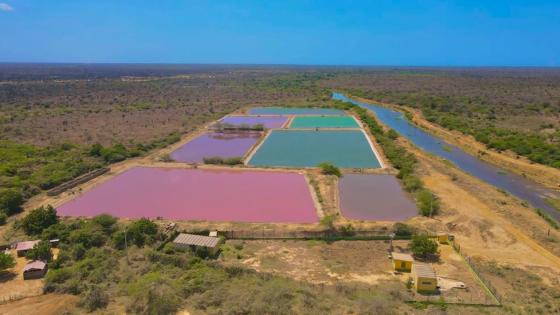 La Guajira le apuesta a reverdecer por medio del turismo, la ciencia y la innovación