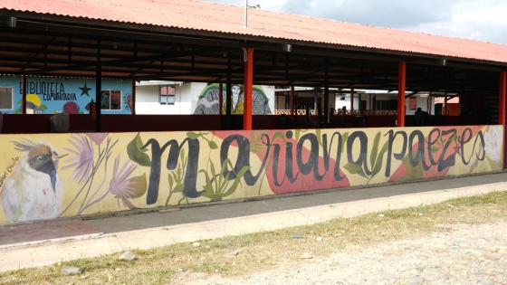 La nueva vida de los excombatientes de las Farc: así conviven en los ETCR La nueva vida de los excombatientes de las Farc: así conviven en los ETCR