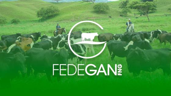 Fedegan lanza alerta por artículo del PND que habilitaría expropiación Fedegan lanza alerta por artículo del PND que habilitaría expropiación