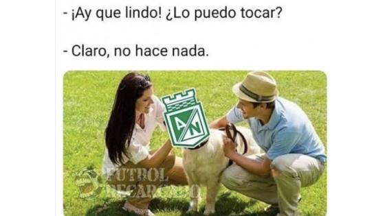 Los memes que dejó la derrota de Nacional en la Copa Libertadores