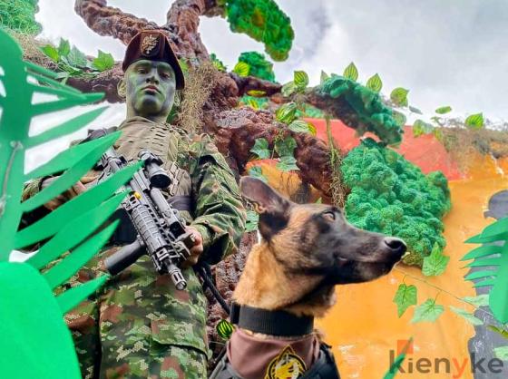 Las mejores imágenes del desfile del 20 de julio en Bogotá Las mejores imágenes del desfile del 20 de julio en Bogotá