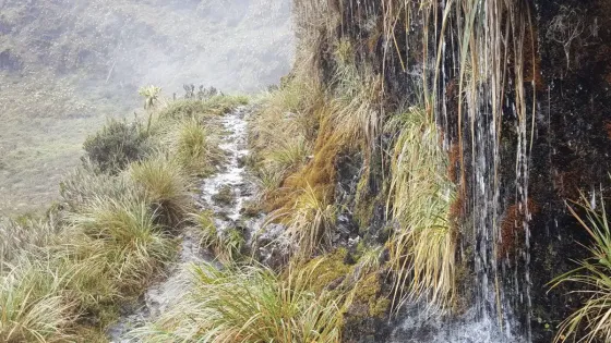 paisaje-Monfortiana paisaje-Monfortiana