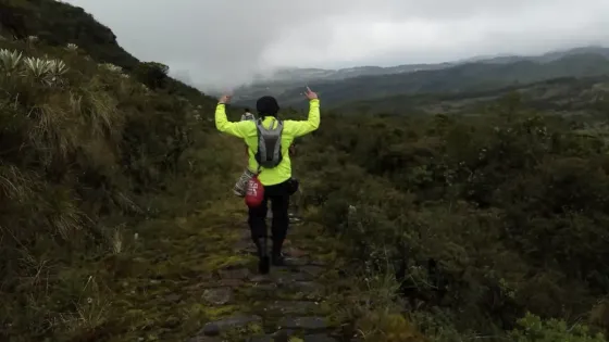 Monfortiana Monfortiana