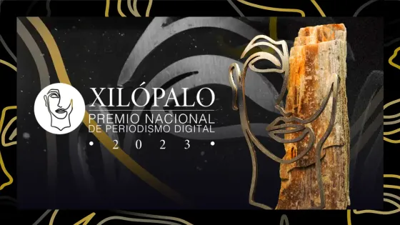 La historia detrás del Xilópalo - Premio Nacional de Periodismo Digital La historia detrás del Xilópalo - Premio Nacional de Periodismo Digital