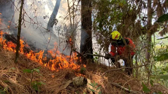 Medellín se prepara para la llegada del fenómeno de El Niño Medellín se prepara para la llegada del fenómeno de El Niño
