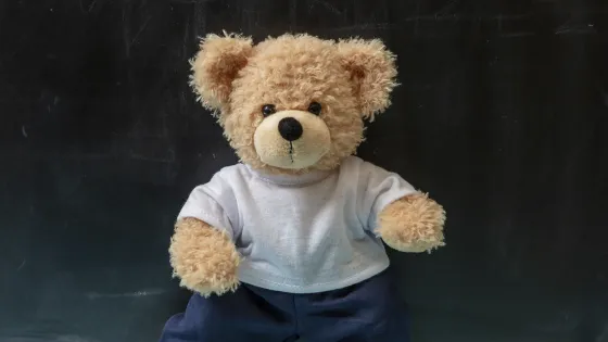 Build Bear