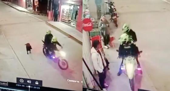 Policía maltrato perrita