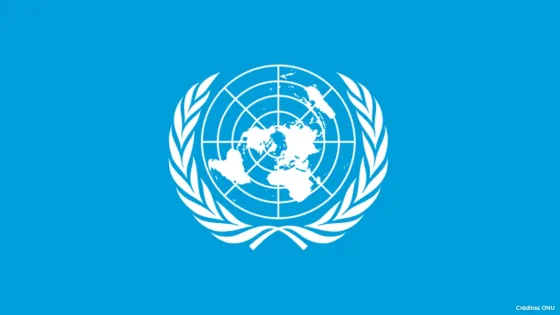 Agencias de ONU en Colombia: "Si informe sobre cadáveres tiene errores, se debe rectificar" Agencias de ONU en Colombia: "Si informe sobre cadáveres tiene errores, se debe rectificar"