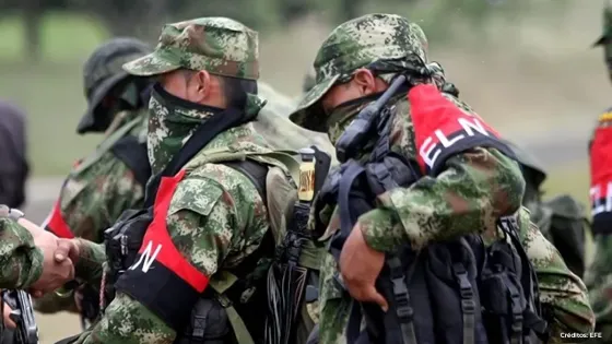 eln eln