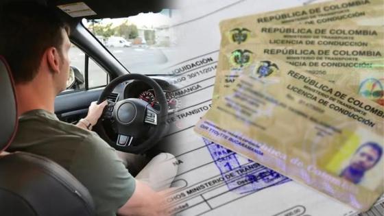 enfermedades-licencia enfermedades-licencia
